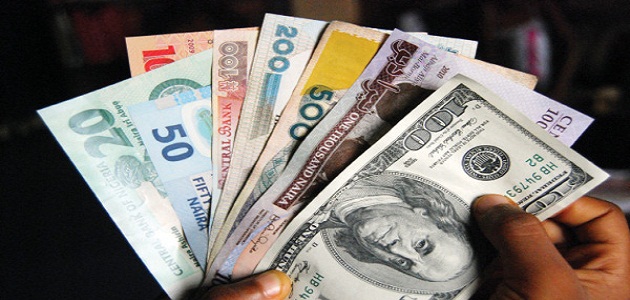 Explaining Nigeria’s Missing Dollar Inflows Despite Naira Float (I)