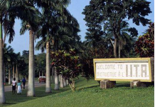IITA