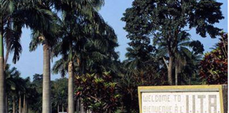 IITA