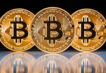 Should You Start Investing In Bitcoin? bitcoin