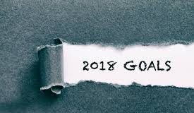 2018 Financial Goals and Objectives