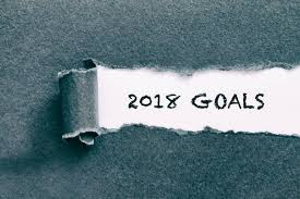 2018 Financial Goals and Objectives 2018 Financial Goals and Objectives