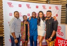 UBA’s REDTV launches Season 2 of Inspector K