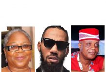 Onyeka Onwenu, Bright Chimezie, Phyno, Others, Set For HiLife Fest 2018 Grand Finale