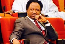 Senator Shehu Sani Loses Polling Unit To el-Rufai’s Candidate Shehu Sani