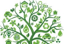 Sahara Group boosts climate protection with project #GreenLife