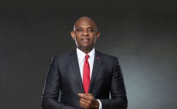 Elumelu Advocates Collaborations To Boost Africa’s Fortunes