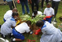 U.S. Consulate, YALI Alumni Celebrate World Environment Day with Schoolkids